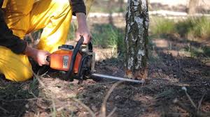 Best Soil Testing and Treatment  in Chico, CA